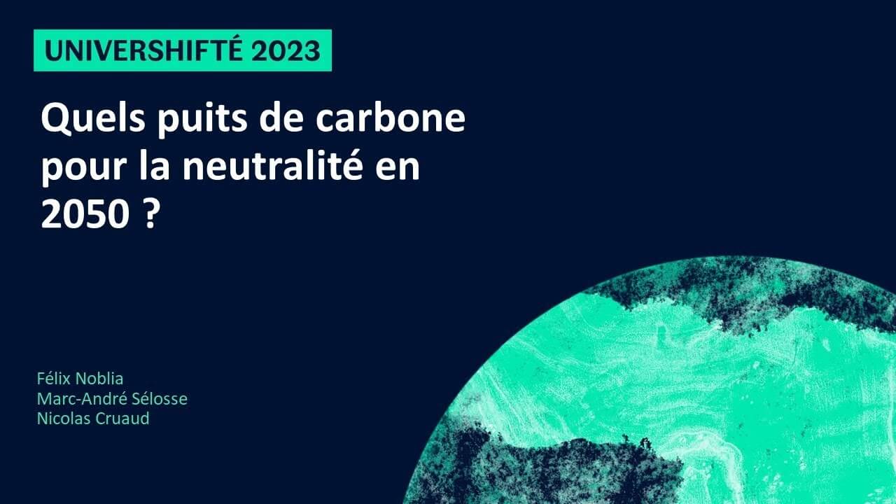 Quels puits de carbone pour la neutralité en 2050 ?